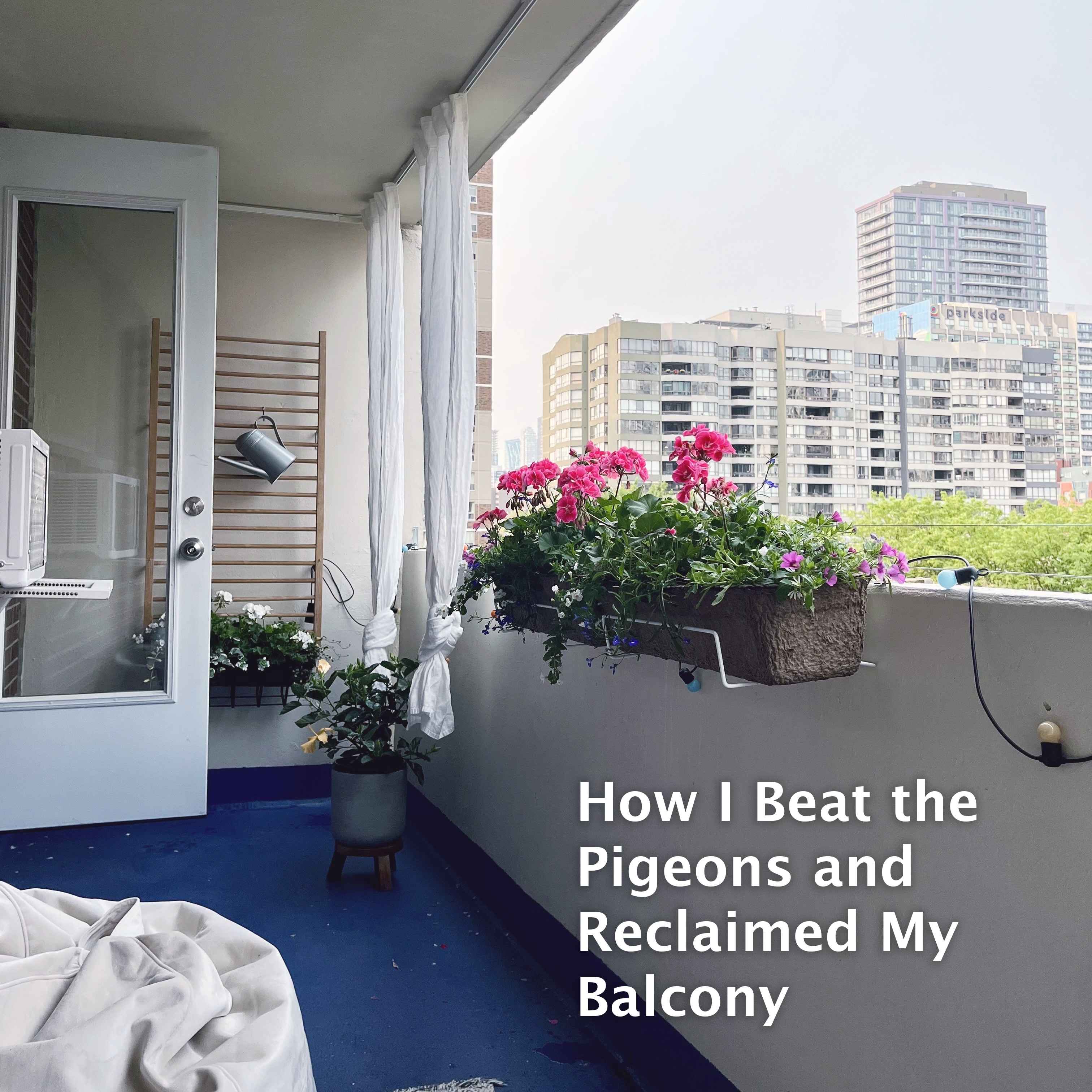 How I Beat the Pigeons and Reclaimed My Balcony