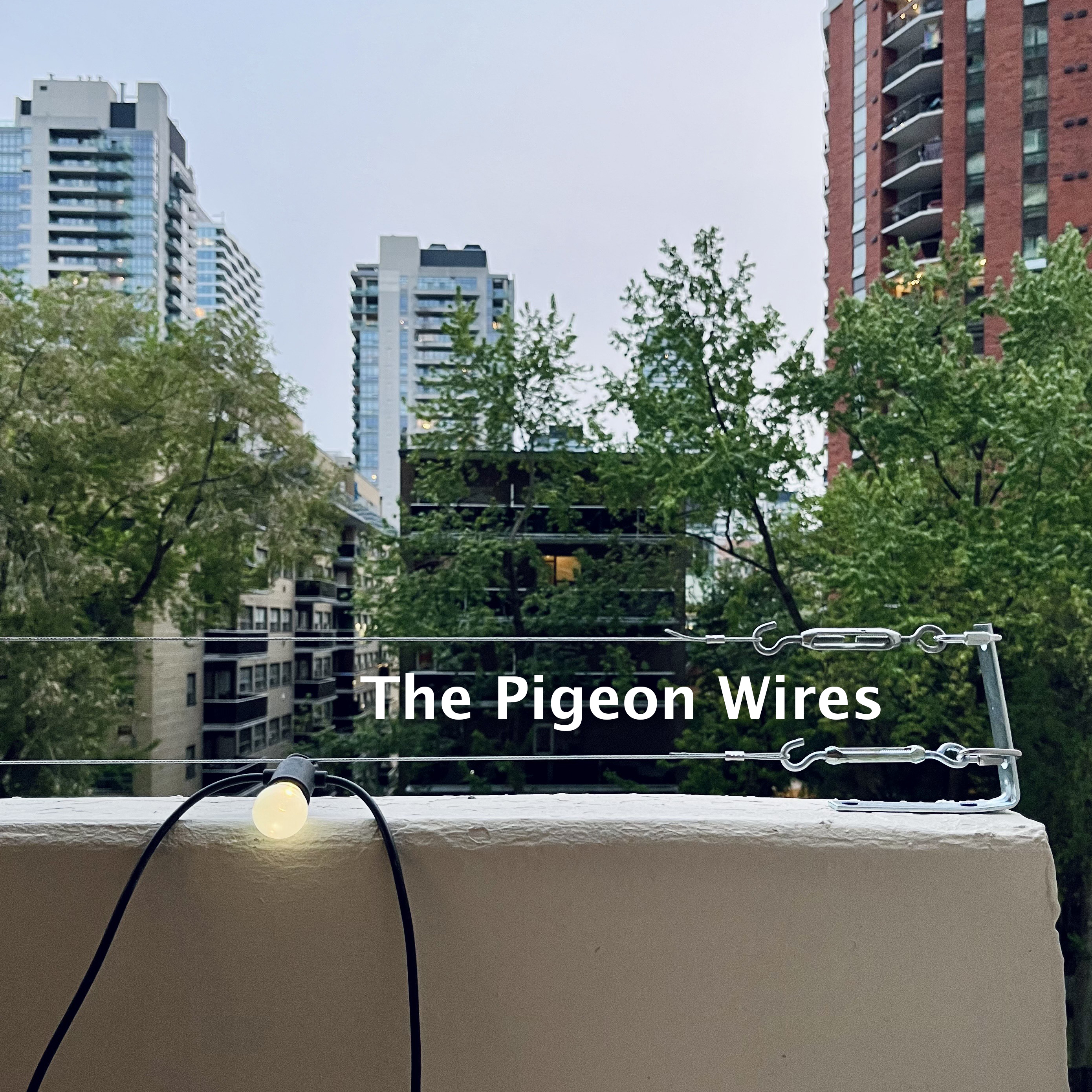 The Pigeon Wires